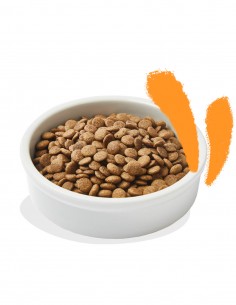 EDGARD & COOPER Pollo y Arándanos 4kg - Pienso Grain Free... 2