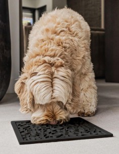 District 70 Alfombrilla Antivoracidad Negro 2