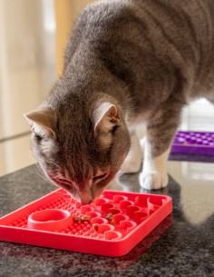 LickiMat CATSTER Lila - Comedero Antivoracidad para Gatos 2