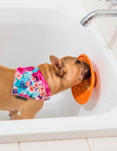LickiMat Splash Naranja - Comedero Antivoracidad para Perros 2