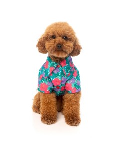 FuzzYard Camisa Hawaiana Lahania - Talla 3 2