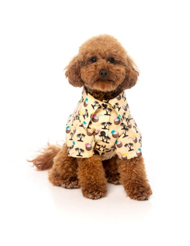 FuzzYard Camisa Hawaiana Sandy Coconut - Talla 1