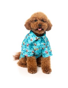 FuzzYard Camisa Hawaiana Blue Oasis - Talla 7 2