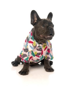 FuzzYard Camisa Hawaiana Ohana - Talla 2 2