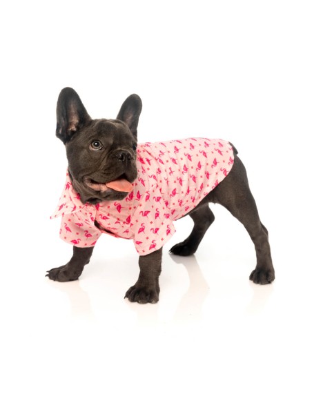 FuzzYard Camisa Hawaiana Fabboyant - Talla 6