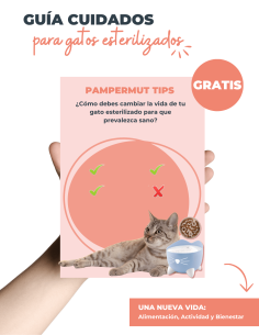 Pack Esterilización by Pampermut - Para Gatos 2