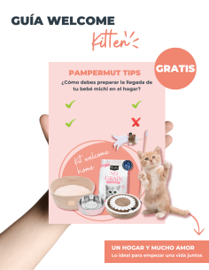 Pack Kitten by Pampermut - Para Gatos 2