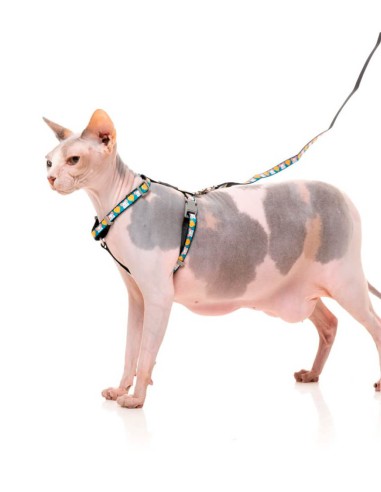 FUZZYARD Walking Cheesy Hearts - Para Gatos