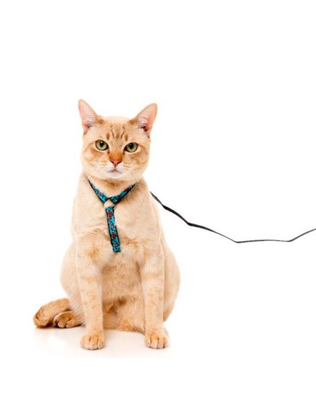 FUZZYARD Walking Set Soy Sauce Fish - Para Gatos