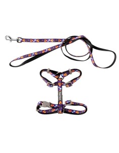 FUZZYARD Walking Set Caturday Night Fever - Para Gatos