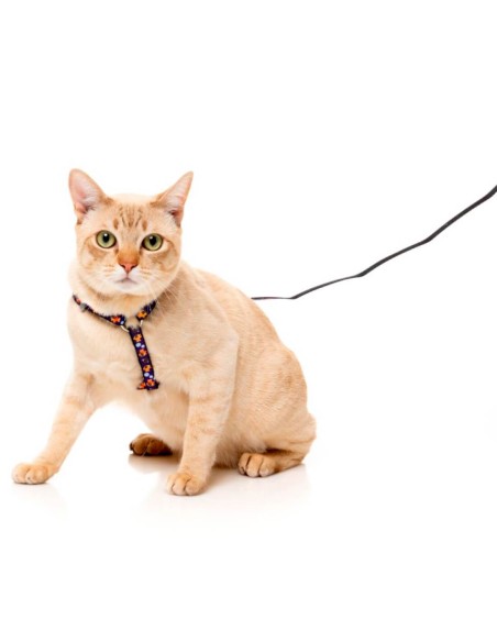 FUZZYARD Pack Correa + Arnés Caturday Night Fever - Para Gatos