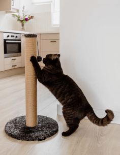 District 70 Poste Rascador DONNA Gris 70cm - Para Gatos 2
