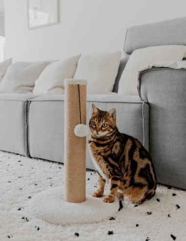 District 70 Poste Rascador DONNA Blanco 70cm -...