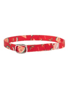 Collar Watermelon - Para Gatos