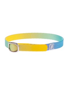 Collar Rainbow - Para Gatos