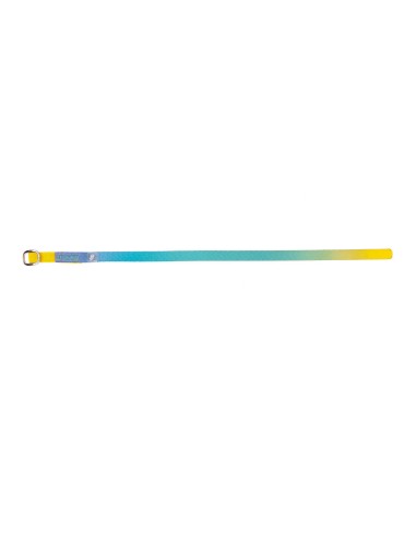 Collar Rainbow - Para Gatos