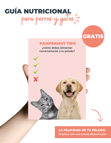 Pack DegustGuaw by Pampermut - Para Perros