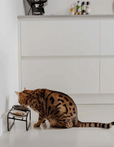 District 70 Soporte para Cuencos BUTLER...