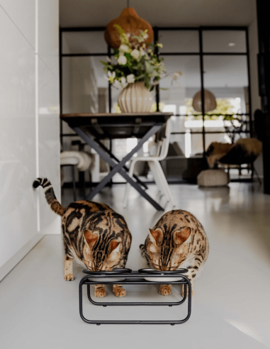 District 70 Soporte para Cuencos BUTLER...