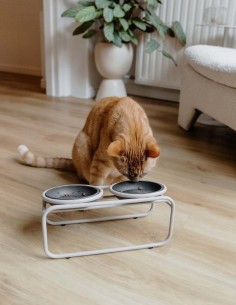 District 70 Soporte para Cuencos BUTLER Merengue - Para... 2