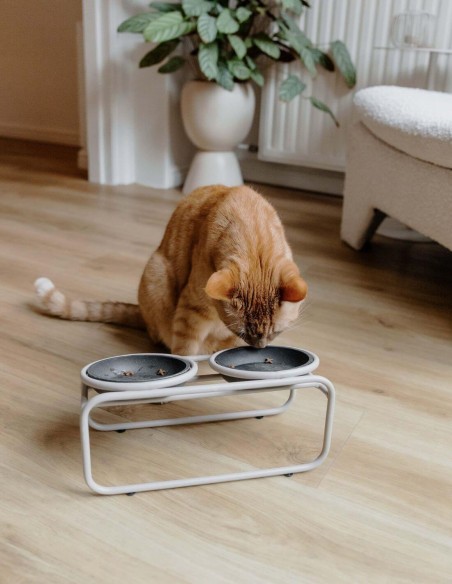 District 70 Soporte para Cuencos BUTLER Merengue - Para Gatos