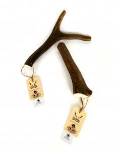 Asta de ciervo M (80-100g) - Mordedor recreativo natural