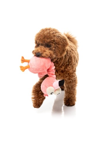 FuzzYard Neck Minnit Neckole The Flamingo -...