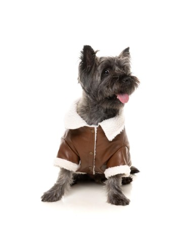 FuzzYard Chaqueta Ava Marrón - Talla 6