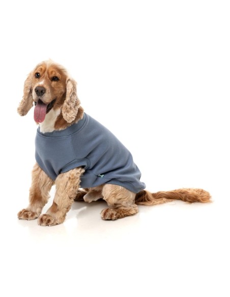 FuzzYard Sudadera Allday Azul - Talla 5