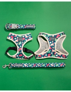 FUZZYARD Collar Dinosaur Land - Para Perros 2