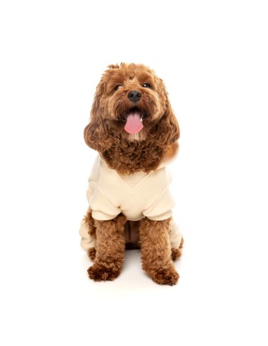 FuzzYard Chandal Urban Buttermilk - Talla 6