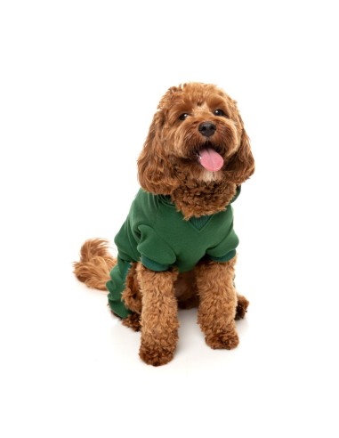 FuzzYard Chandal Urban Verde - Talla 1