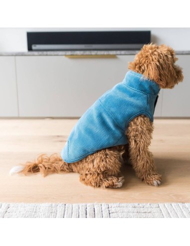 FuzzYard LIFE Chaqueta Corduroy French Blue -...