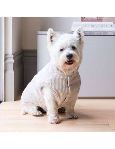 FuzzYard LIFE Chaqueta Corduroy Sandstone - Talla 5