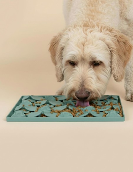 FuzzYard LIFE Comedero Antivoracidad Myrtle Green - Para Perros y Gatos