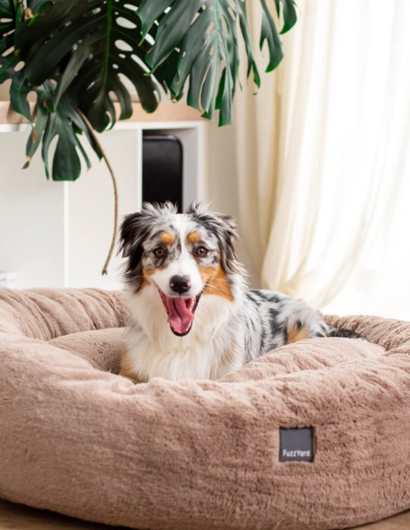 FuzzYard Cama Dreameazzzy Antiestrés Chai L - Para Perros y Gatos