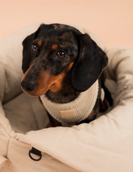 FuzzYard Life Transportín + Silla de Coche Sandstone - Para Perros y Gatos