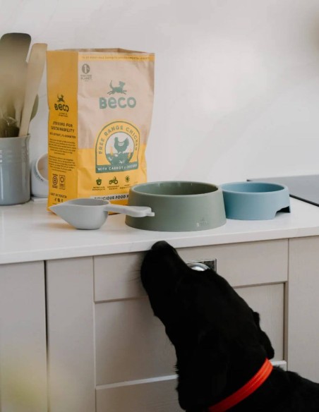 Beco Comedero Steady Verde S/M - Para Perros