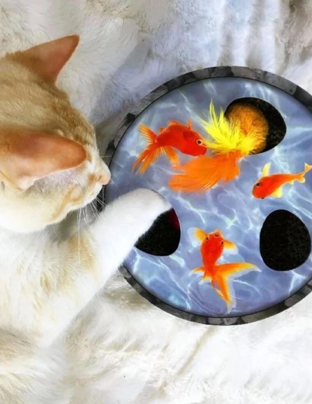 Estanque de Peces Interactivo & Rascador - Juguete Para Gatos