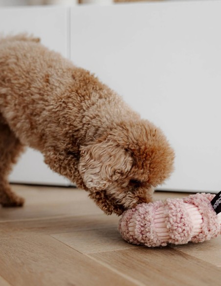 District 70 Margarita Interactiva & Escondite Rosa - Juguete para Perros