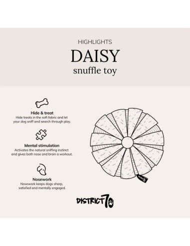 District 70 Margarita Interactiva & Escondite...