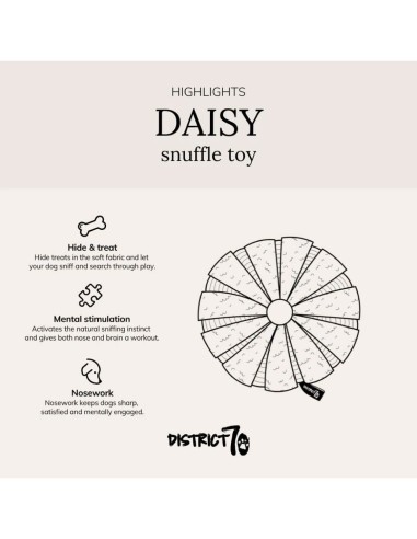 District 70 Margarita Interactiva & Escondite...