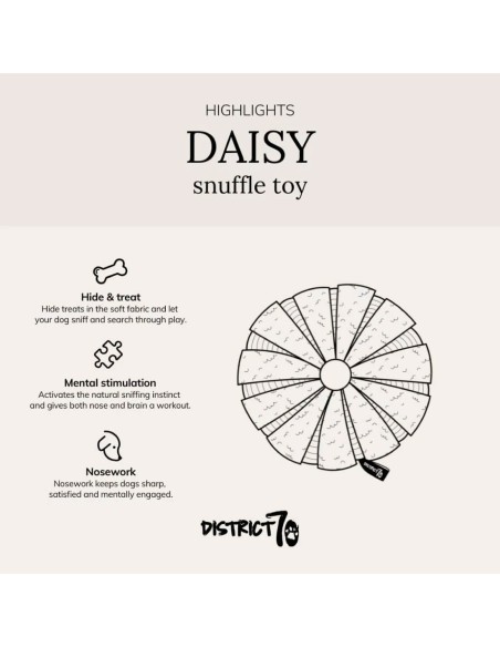 District 70 Margarita Interactiva & Escondite Merengue - Juguete para Perros