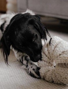 District 70 Margarita Interactiva & Escondite Merengue -... 2