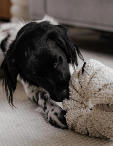 District 70 Margarita Interactiva & Escondite...