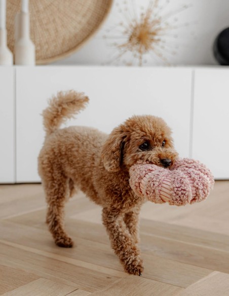 District 70 Margarita Interactiva & Escondite Marrón - Juguete para Perros