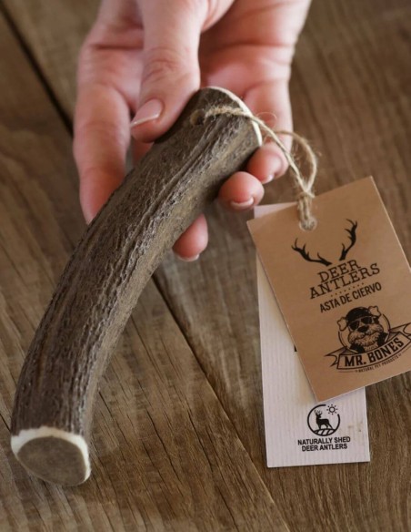 Asta de ciervo S (40-75g) - Mordedor recreativo natural