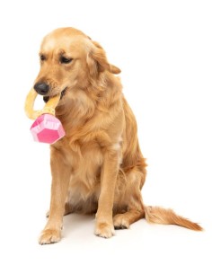 FUZZYARD Diamond - Juguete para Perros 2