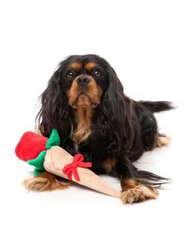 FUZZYARD Wrapped Rose - Juguete para Perros