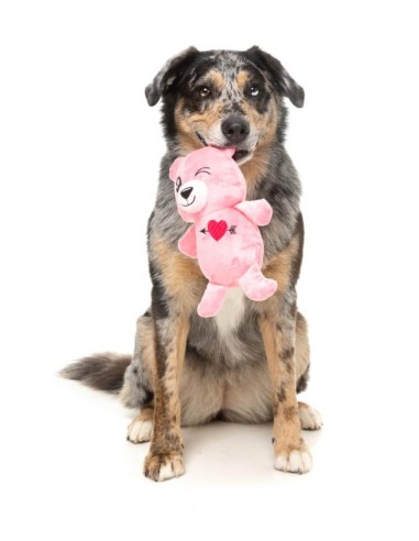 FUZZYARD Love Bear - Juguete para Perros